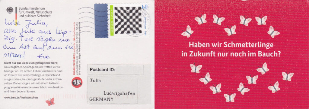 Pink postcard showing illustrated butterflies forming a heart with the text "Haben wir Schmetterlinge in Zukunft nur noch im Bauch" written through it.