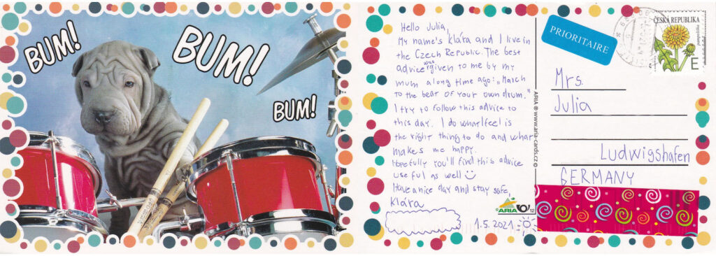 Postcard with grey dog playing drums